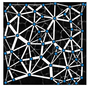 _images/Figure_2_10_0.png