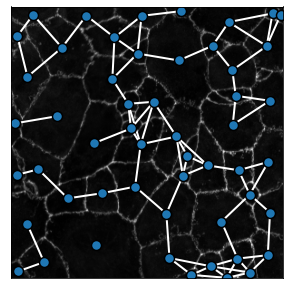 _images/Figure_2_13_1.png