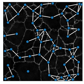 _images/Figure_2_15_1.png