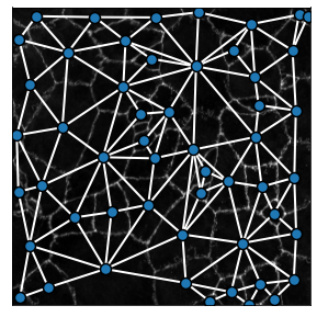 _images/Figure_2_8_0.png
